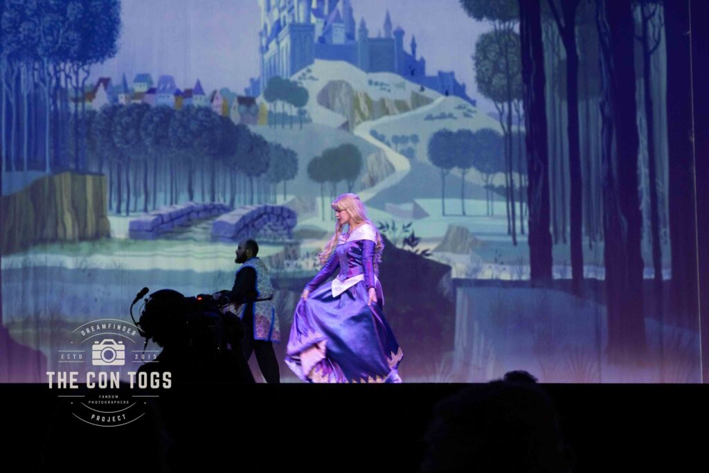 Princess Aurora the Sleeping Beauty - Starlit Memory Cosplay