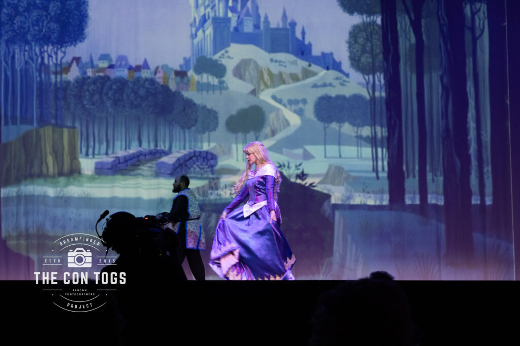 Princess Aurora the Sleeping Beauty - Starlit Memory Cosplay