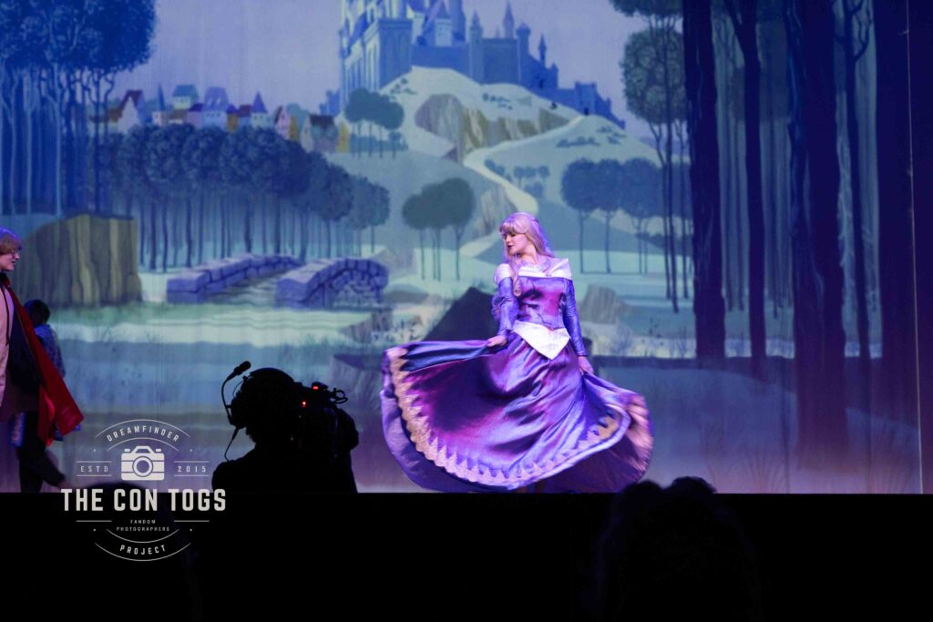 Princess Aurora the Sleeping Beauty - Starlit Memory Cosplay