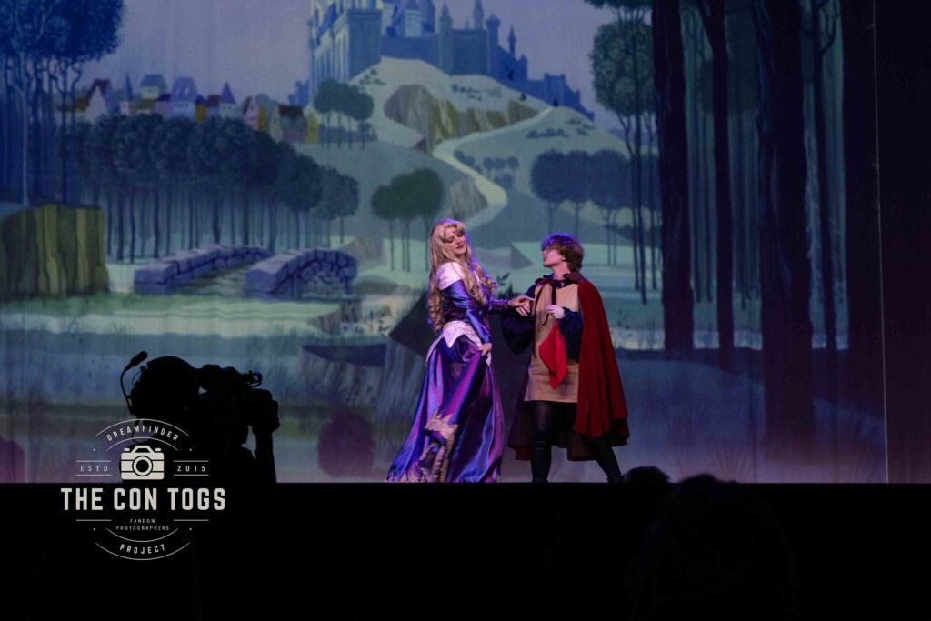 Princess Aurora the Sleeping Beauty - Starlit Memory Cosplay