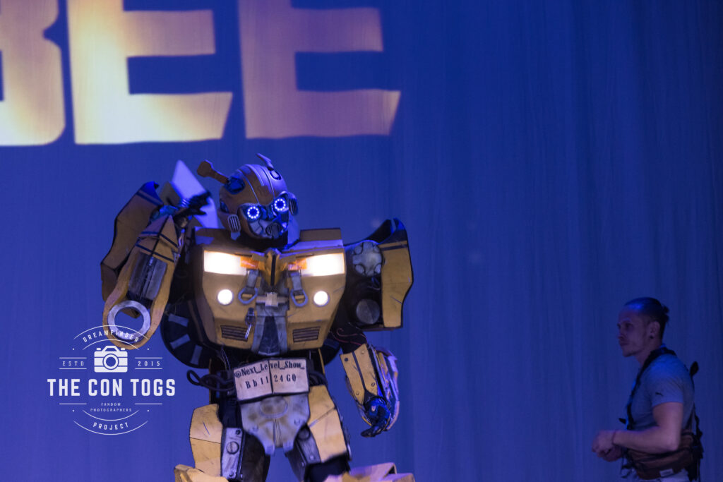 Judges’ Choice - Bumblebee